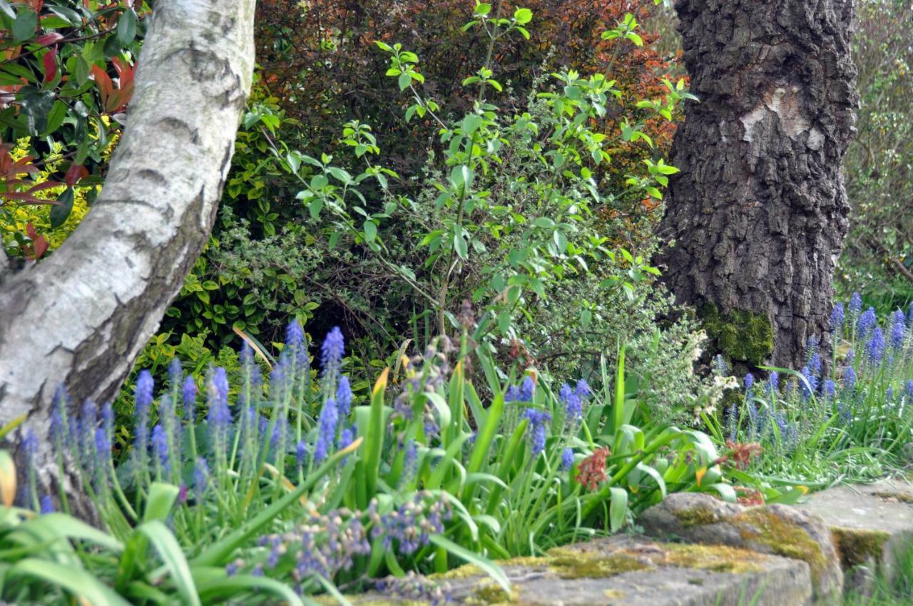 Bridleways Guesthouse & Holiday Homes Mansfield Eksteriør bilde
